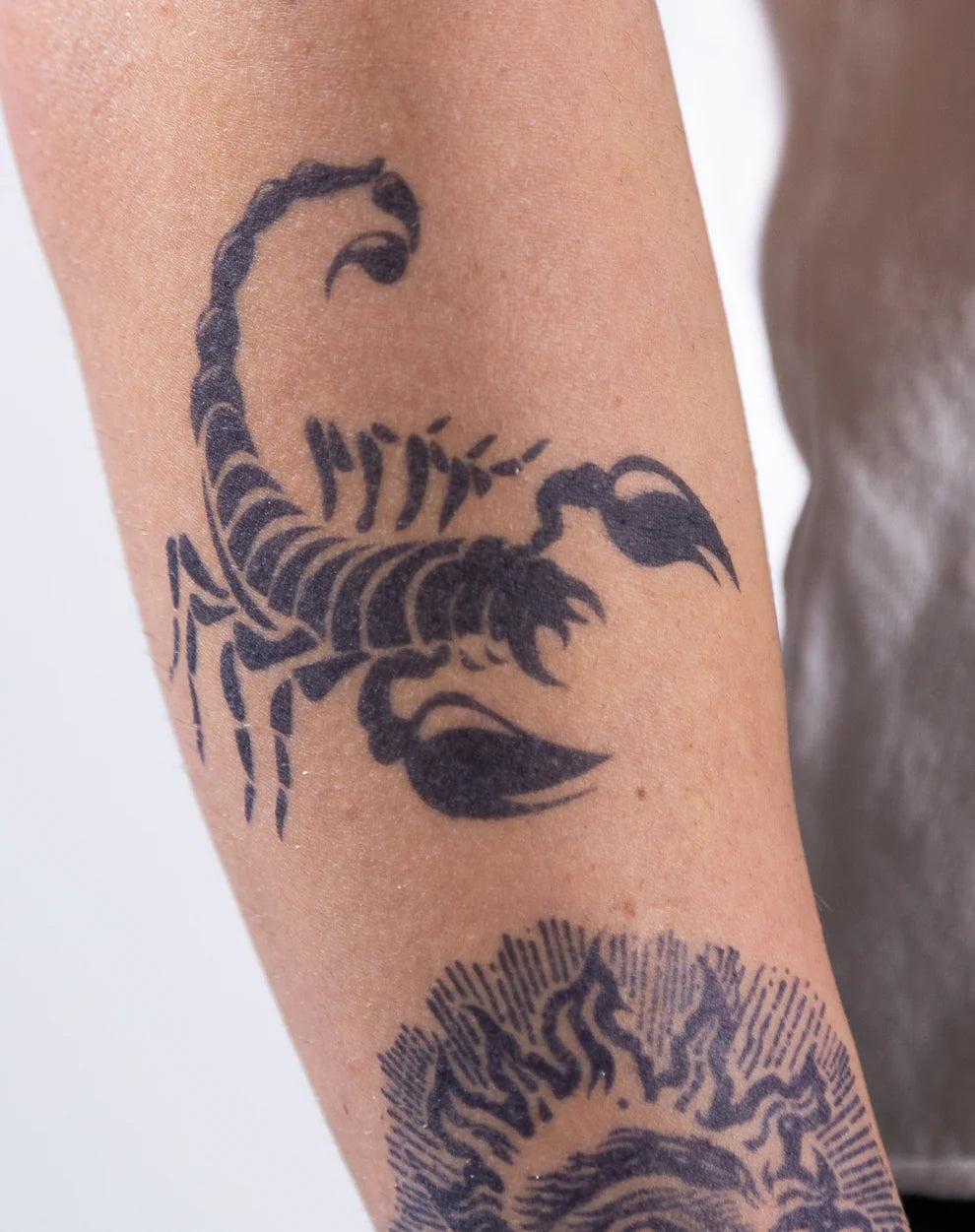 1 Sheet Bold Scorpion