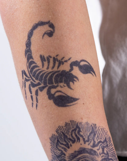 1 Sheet Bold Scorpion